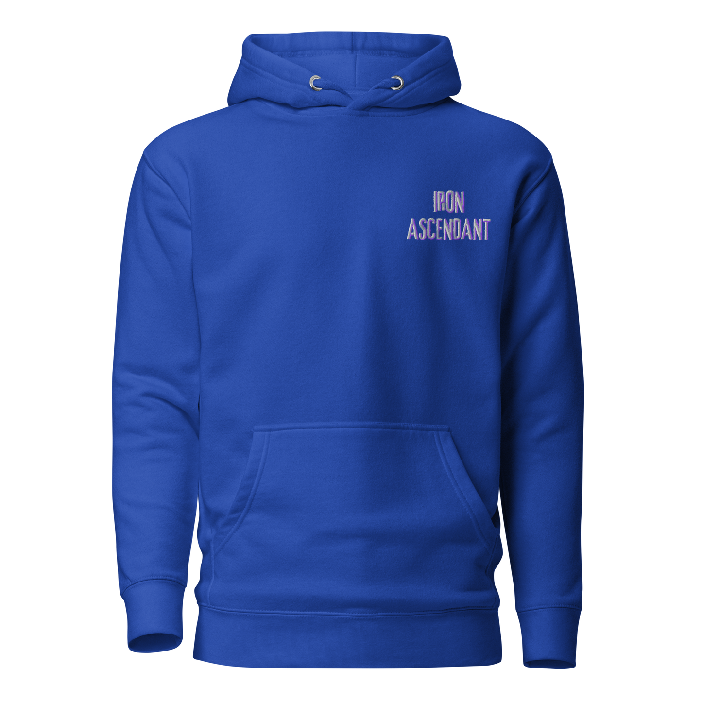ASCEND PREMIUM EMBROIDERED HOODIE