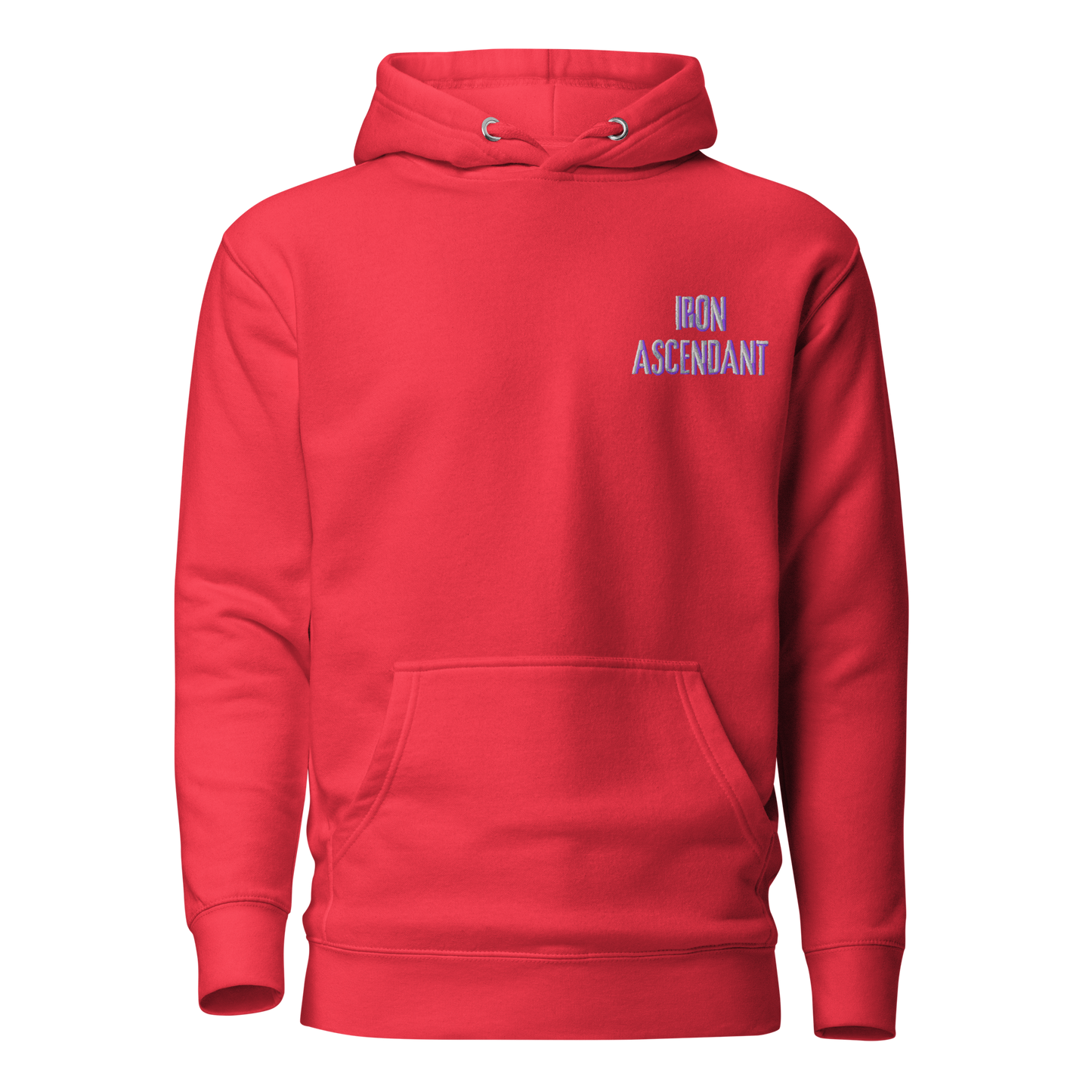 ASCEND PREMIUM EMBROIDERED HOODIE